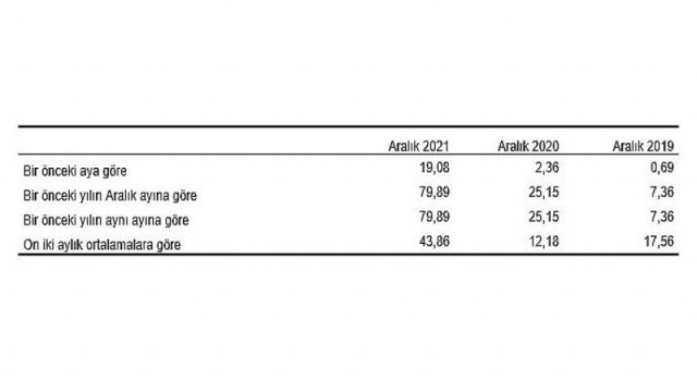 Yurt İçi Üretici Fiyat Endeksi, Aralık 2021