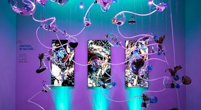 Akaretler Sıraevler, Bbirbirinden Farklı, Özgün ve Özel Sergilere Ev Sahipliği Yapmaya Devam Ediyor