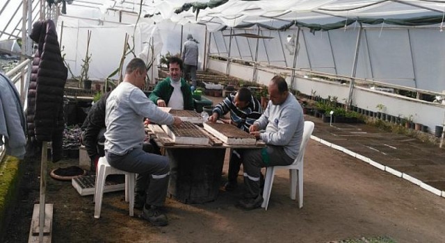 Kemer Belediyesi Ata Tohumları Ekmeye Başladı