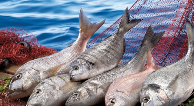 Su ürünleri ve hayvansal sektörü ihracatta 3,5 milyar doları geçti