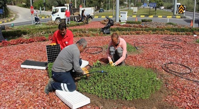 Kemer çiçekleriyle göz kamaştıracak
