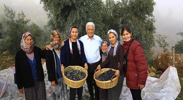 Büyükşehir’den Milas Zeytininin geliştirilmesi ve yaygınlaştırılmasını sağlayacak hamle