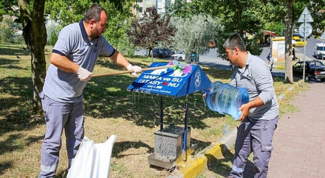 Küçükçekmece’de Hayvan Dostu Belediyecilik : Doğadaki Can Dostlar Yalnız Değil