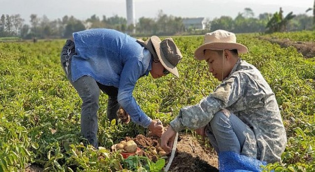 PepsiCo Europe, tedarik zincirine sürdürülebilirlik çözümleri sunmak için dijital start-up’ları destekliyor