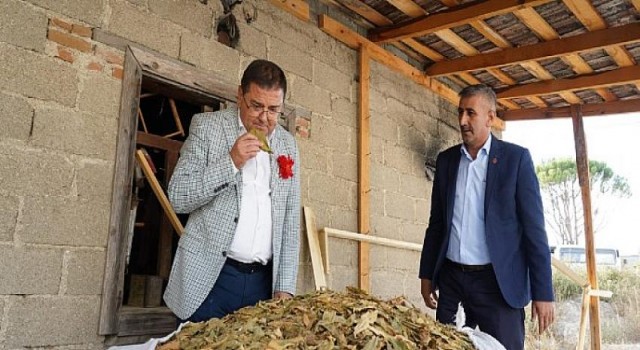 Başkan Tokat, Müjdeli Haberi Verdi Kanayan Yara Su’ya Çözüm Bulundu