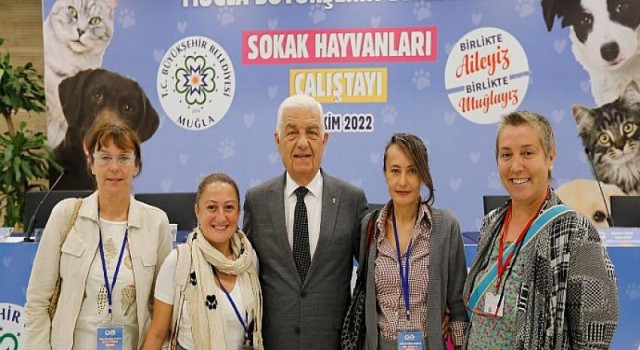 Muğla Sokak Hayvanları Çalıştayı’nın Sonuç Bildirgesi Yayınlandı