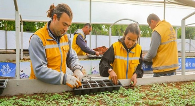 Aydın Büyükşehir Belediyesi Aydın’ı Renklendiren Çiçekleri Kendi Üretiyor