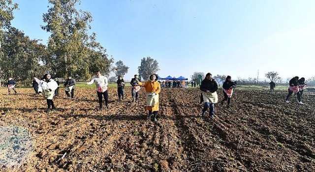 İzmir&#39;de Yaşar Üniversitesi öğrencileri karakılçık ekiminde
