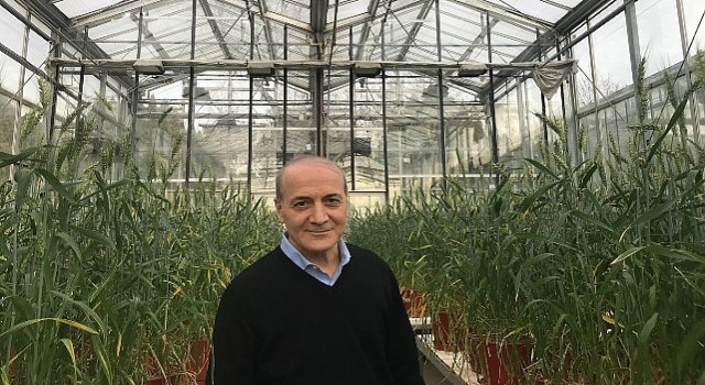 Sabancı Üniversitesi Öğretim Üyesi Prof. Dr. İsmail Çakmak Dünyanın En Etkili Bilim İnsanları Listesinde Türkiye'den Birinci Sırada