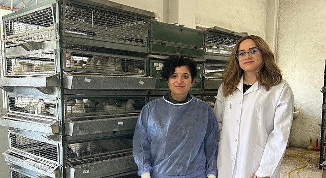 Ege'de “Tavuk koronavirüs aşılarında yerli ve milli adjuvan geliştirilecek”