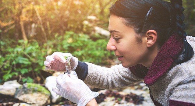 Türkiye den en az 21 öğrenciye, Birleşik Krallık ta burs fırsatı