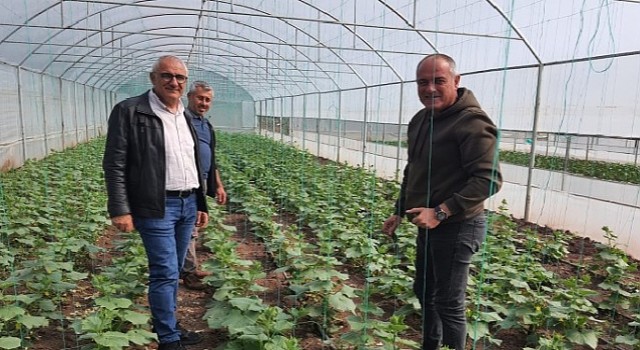 Gemlik Belediyesinde organik tarım çalışmaları sürüyor