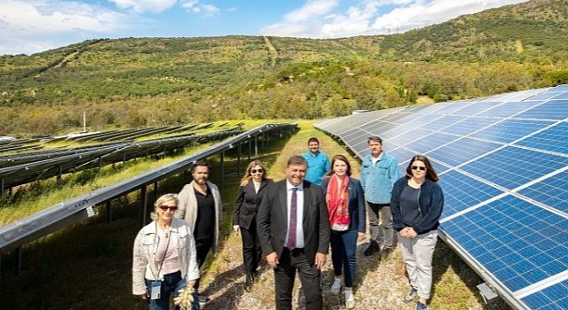 Güneşten Gelen Bereket