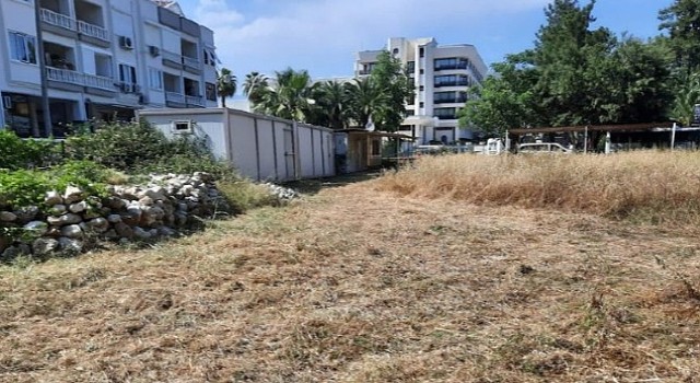 İlçe genelindeki yeşil alanlarda bakım çalışması