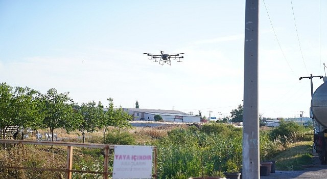 Ayvalıkta dronların hedefinde sinekler var