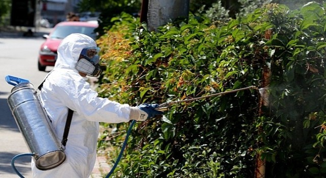 Karşıyakada sinek ve haşereyle etkin mücadele