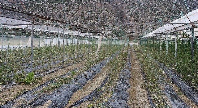 Korkuteli Kayabaşı hortum ve dolu vurdu