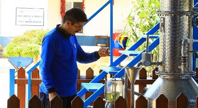 Muğla Büyükşehir Distilasyon Tesisi Muğlanın Aromatik Bitkilerini İşliyor