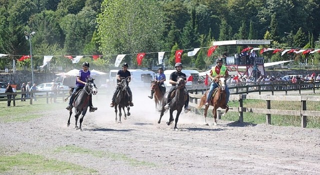 Rahvan at yarışçıları Gölcükte buluşuyor