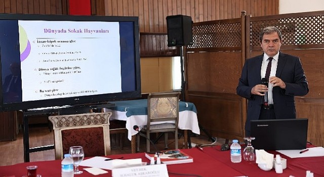 Ankara Buluşmalarında “Kent Hayatı ve Hayvan Hakları” konuşuldu