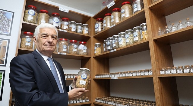 Büyükşehir 1 Milyon Yerel Tohumun Dağıtımına Başladı