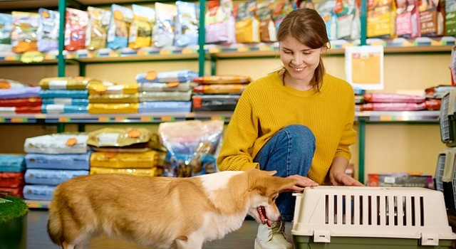 Türkiyede yaşanan evcil hayvan ebeveynleri sağlıklı ve besici ürünler tercih ediyor