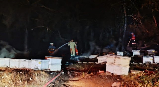 Kemerde çıkan orman yangını büyümeden söndürüldü