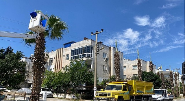 Milas Belediyesinin hızlı ve etkin müdahalesiyle bir fırsata dönüştü