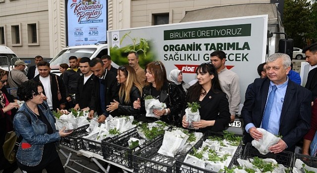 Osmangazi Belediyesinden vatandaşa 100 bin fide