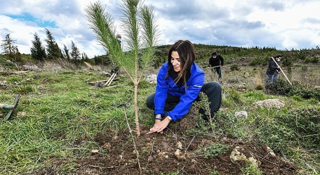Enerjisa Üretim, Her Fidan Bir Umut projesi ile Türkiyenin ormanlarına 1 milyonu aşkın fidan dikiyor