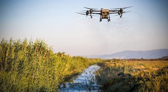 İzmirde sivrisinekle havadan ve karadan mücadele sürüyor