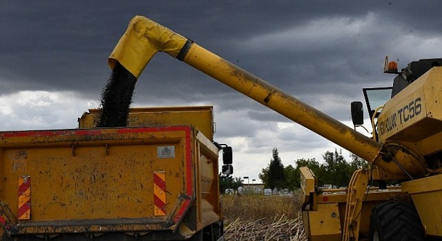 Lüleburgaz Belediyesinden ayçiçek hasadı