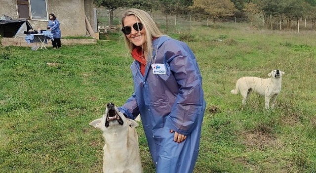 CarrefourSA Dost Hareketi ile Sokak Hayvanlarına Desteğe Devam Ediyor