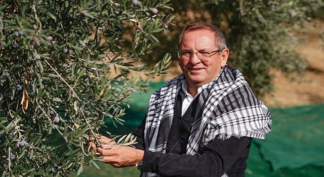 Uluslararası Ayvalık Zeytin Hasat ve Turizm Festivalinden 19uncu kez “Merhaba”