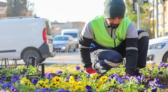 Bucada yeşil doku için yoğun mesai