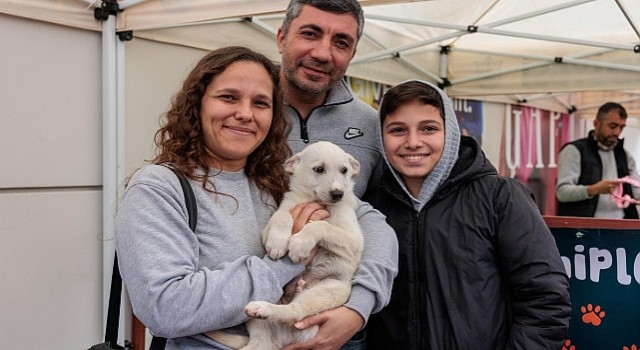 Konaktan patili dostları sahiplendirme etkinliği: Yeni yıla sıcak yuvalarında girecekler