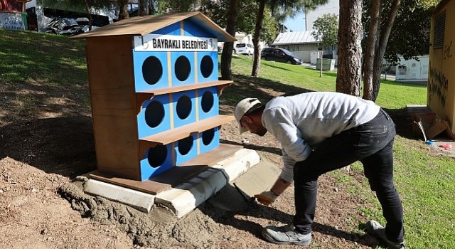 Bayraklıda sokak kedilerine yeni yuva