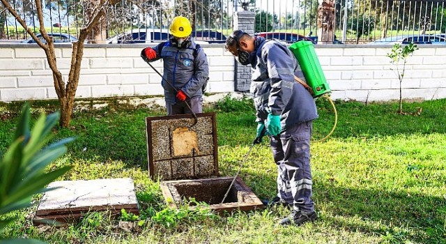 Vektörle mücadele kış aylarında da sürüyor