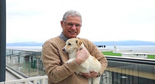 Mudanya Belediyesinden Sahipsiz Hayvanlara Şefkat Eli