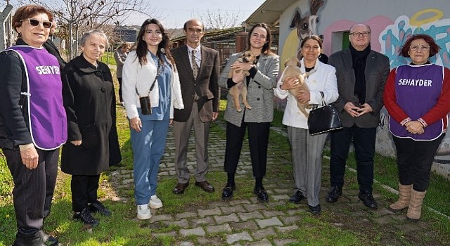 Bir patili dost edinmeye ne dersiniz?