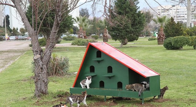 Karşıyaka Belediyesinden sahipsiz hayvanlar için örnek uygulama