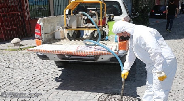 Zeytinburnu Belediyesinden Sivrisinek Sorununa Erken Müdahale