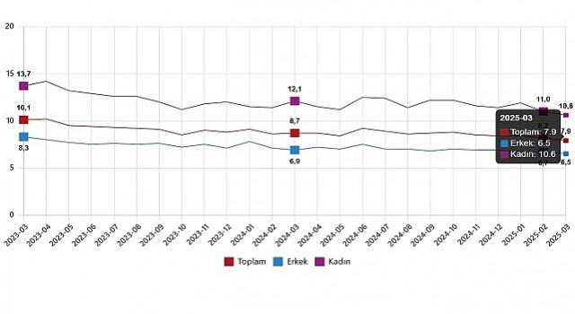 İşgücü İstatistikleri, Mart 2025