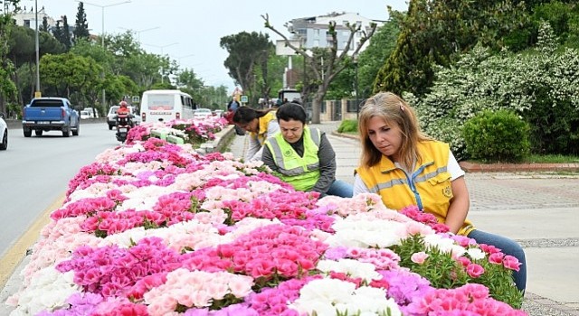 Başkan Çerçioğlu Efeleri Bahar Çiçekleri ile Süsledi