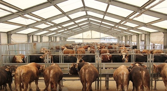 İBB den Kurban Bayramı İçin 4 Modern Tesis