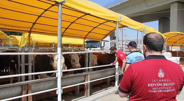 İstanbulda Kurbanlık Denetimleri Başladı