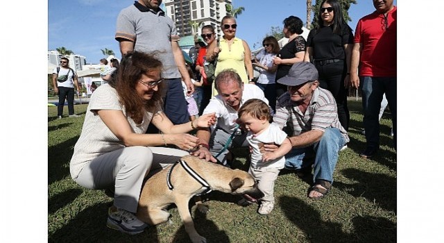 Karşıyakada can dostlarla yaza merhaba!