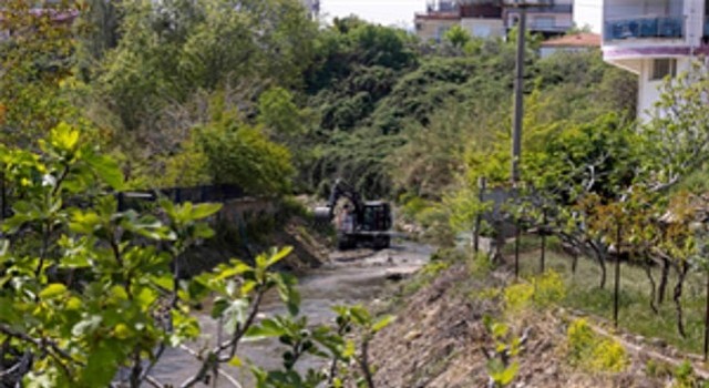 Körfezle buluşan derelerde temizlik harekâtı