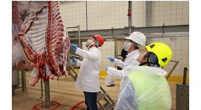 Kurban kesim başvuruları 15 Mayısta başlıyor