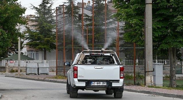 Selçukluda ilaçlama çalışmaları başladı